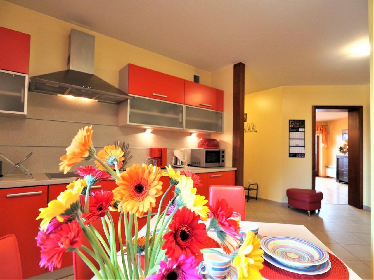 Apartament Widokowy Maki Daire Zakopane Dış mekan fotoğraf